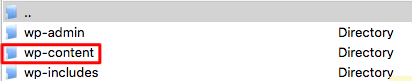 WordPress wp-content Folder