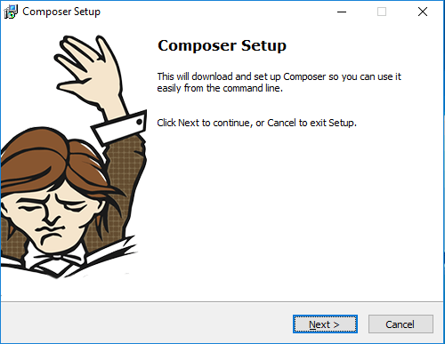 Composer Install Wizard Windows