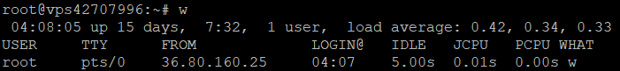 The results of the w command