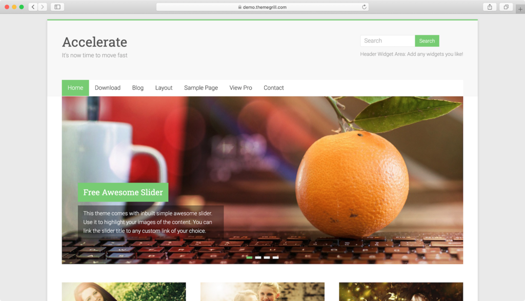 theme WordPress Portfolio Lite