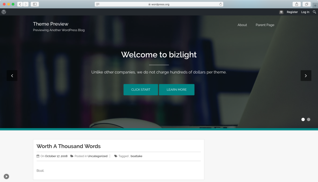 Bizlight WordPress theme.