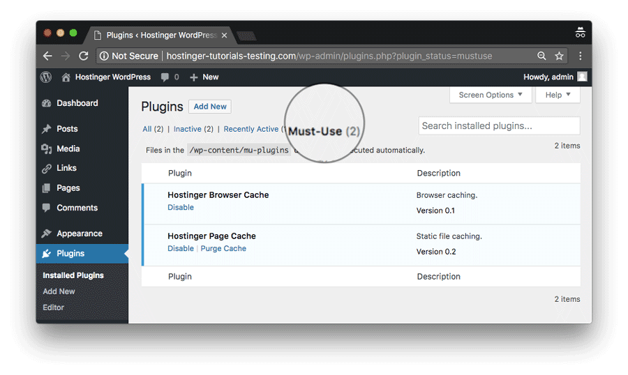 Mengatasi masalah Custom CSS WordPress caching plugin yang disediakan Hostinger