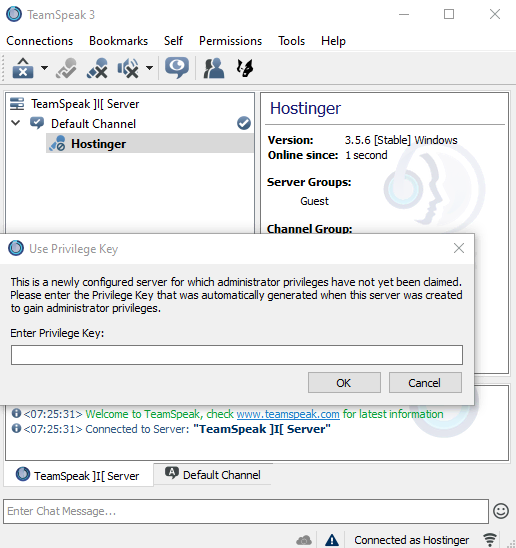 TeamSpeak client window asking for admin token. After it's provided user will gain admin access to the server