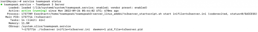 The output of a service command on Linux VPS. It shows that TeamSpeak service is up and running