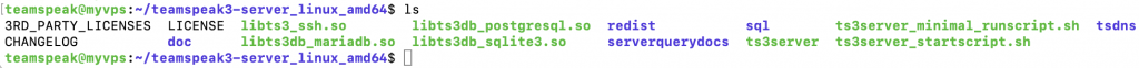 The output of an ls command on a Linux VPS. It shows all files and directories inside newly downloaded TeamSpeak server files