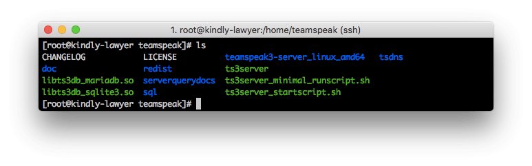 TeamSpeak 3 server files listed