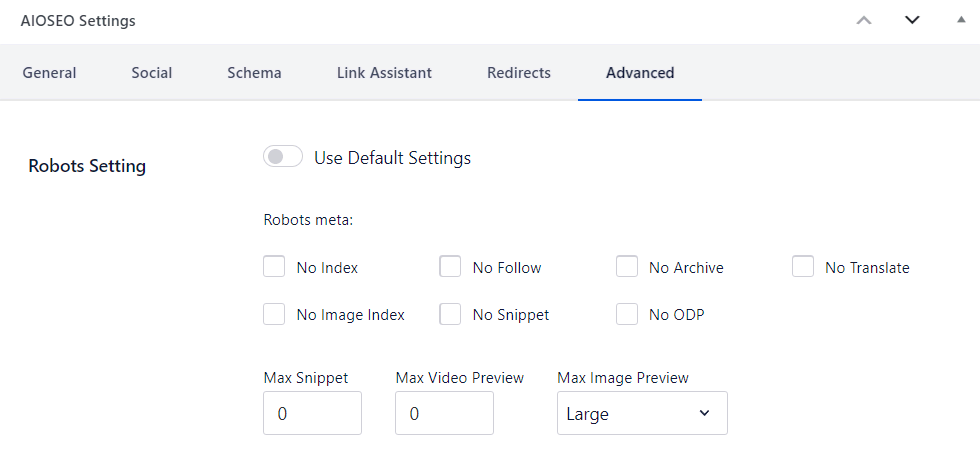 AIOSEO settings panel, showing the robots settings section