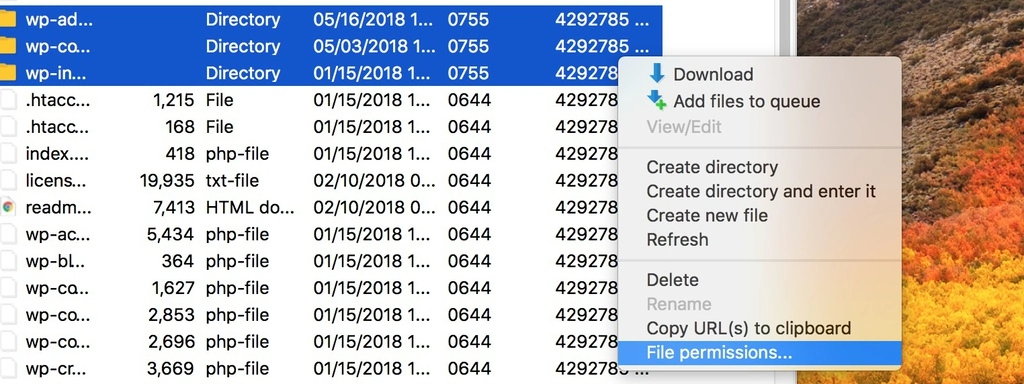 FileZilla FTP Root Folder screenshot
