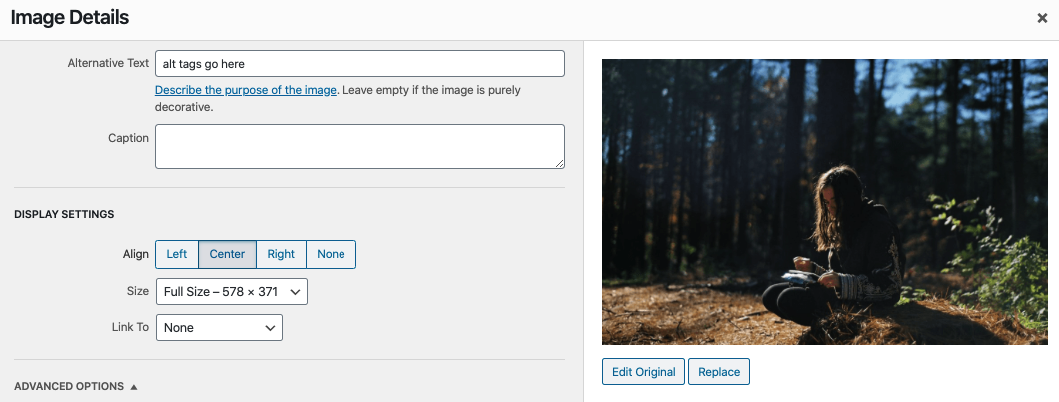 example of wordpress alt tags box to input your description of the image