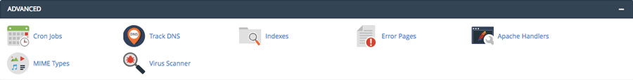 cPanel advanced features