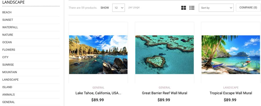 Earn money online by creating ecommerce websites