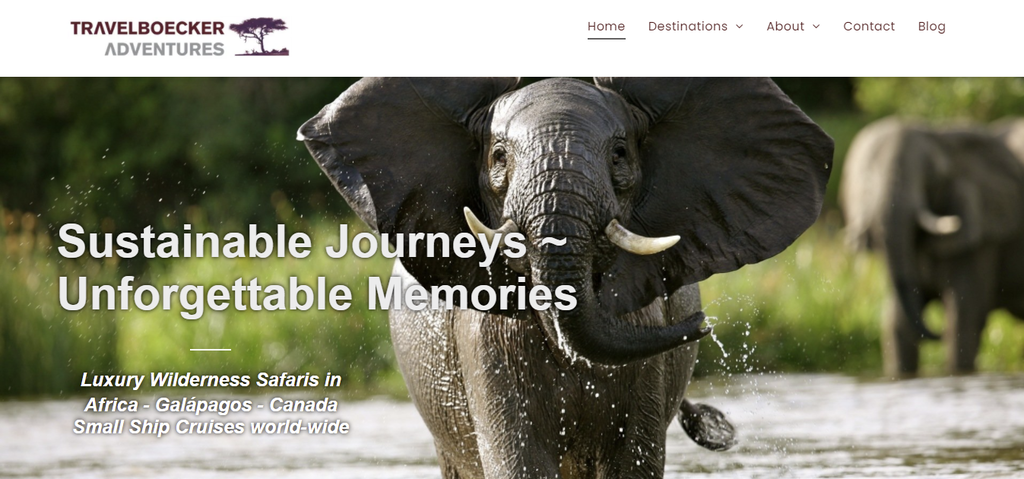 A screenshot showing Travelblocker Adventures's homepage