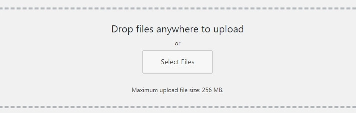 Selecting which files to upload.