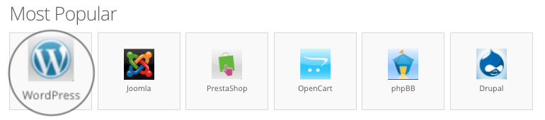 Installing WordPress CMS with Hostinger's auto installer