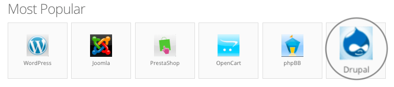 Installing Drupal CMS using Hostinger's auto installer