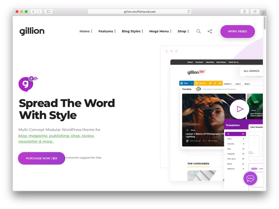 Gillion WordPress theme