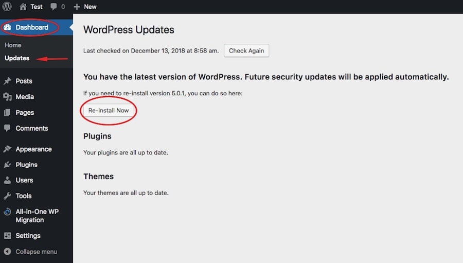 The WordPress updates page on the dashboard, showing where to click Re-install Now