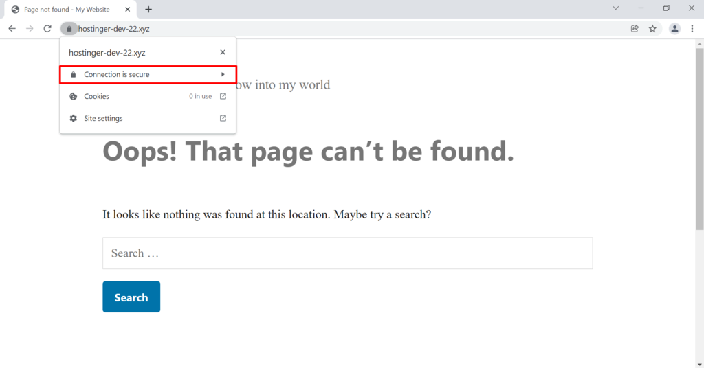 Screenshot of the Connection is Secure option in the SSL details on Google Chrome