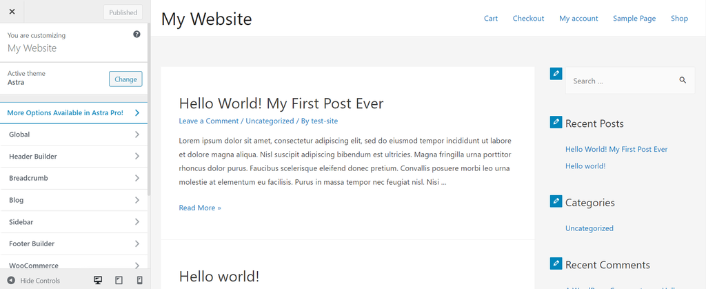 WordPress customizer for Astra theme