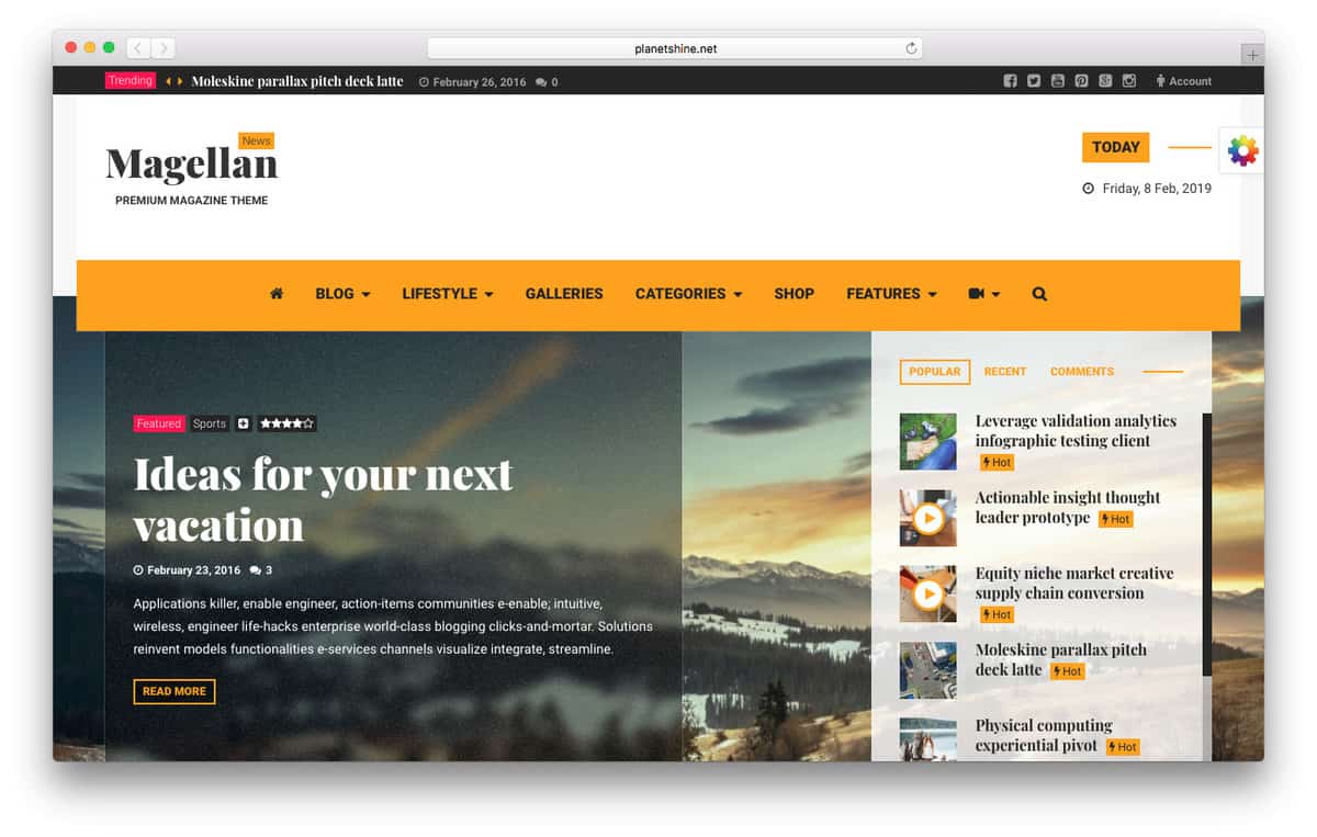 magellan wordpress video theme