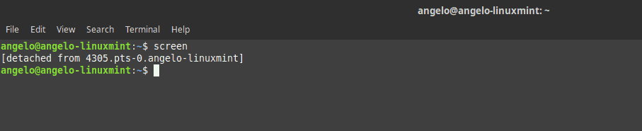 Saving a Linux Screen session