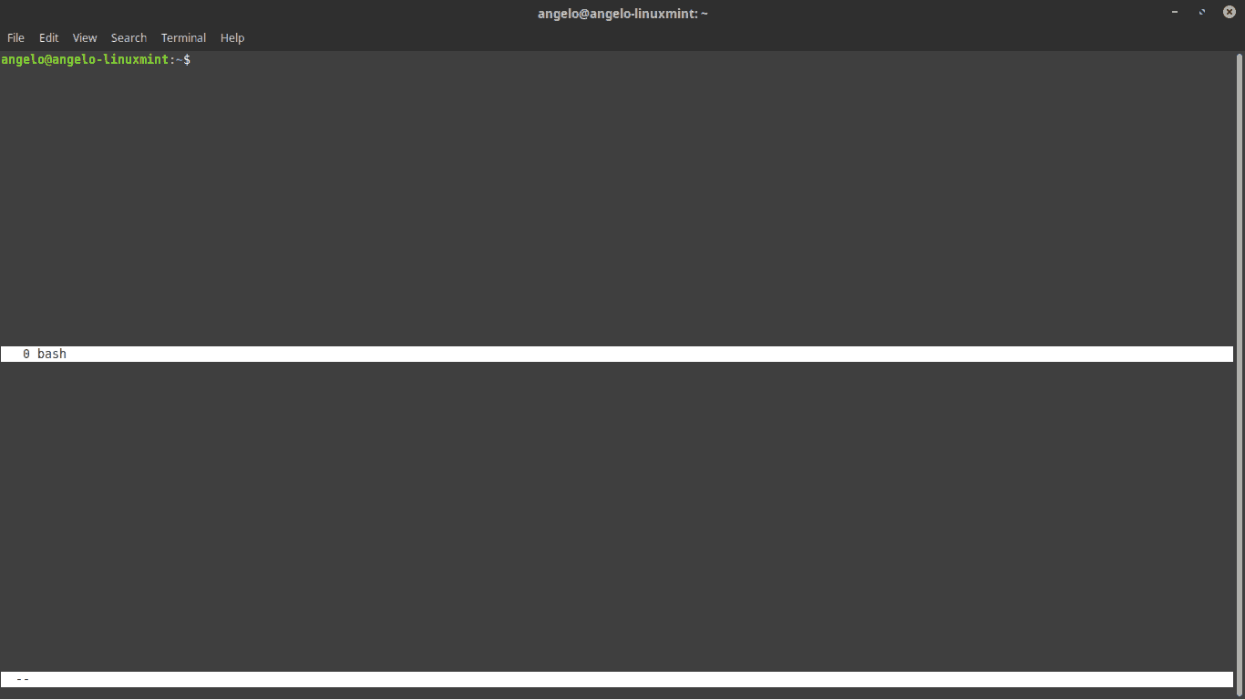 Splitting the Linux terminal using Screen on Ubuntu