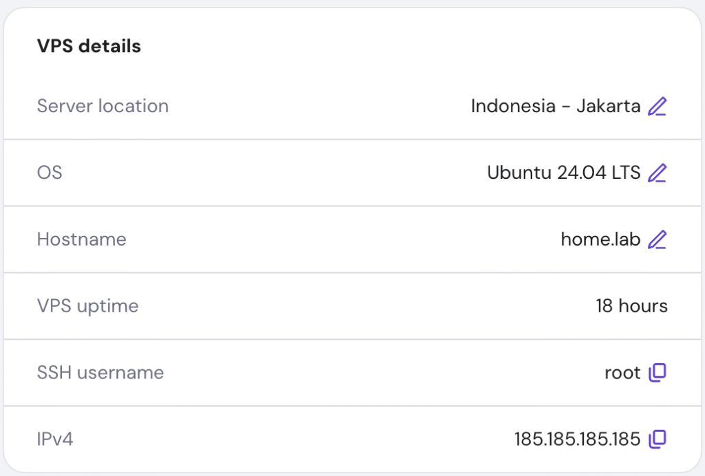 The VPS details menu on hPanel