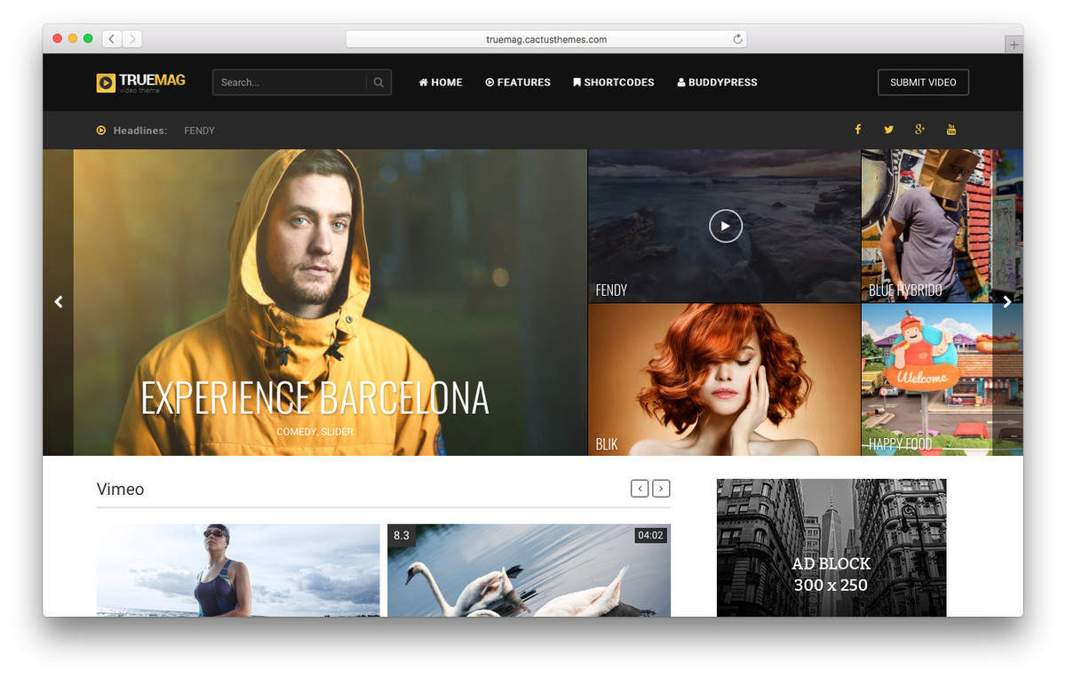 true mag wordpress video theme