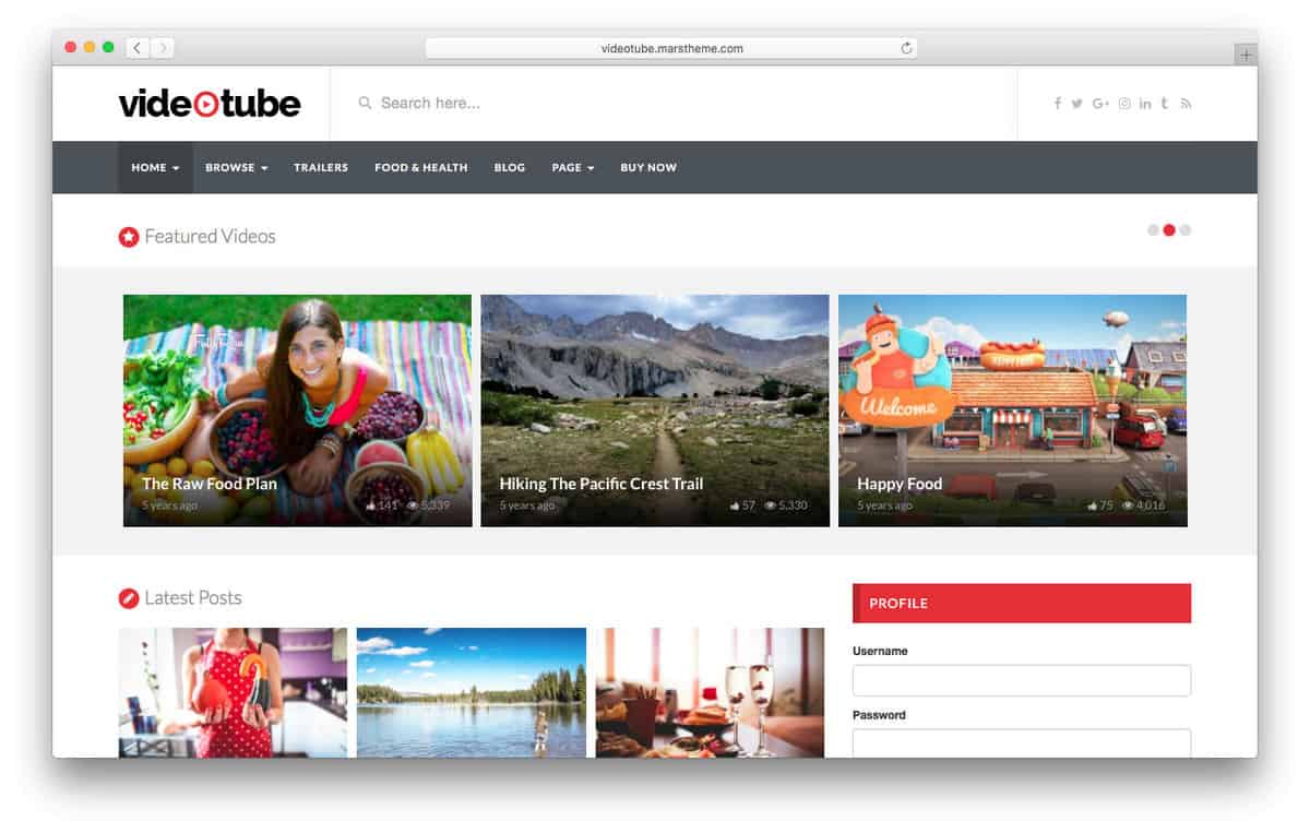 videotube wordpress video theme