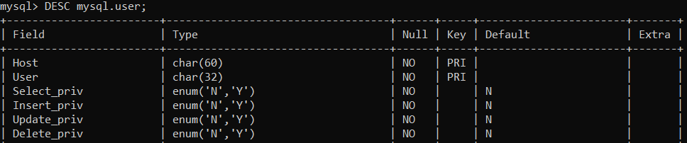 MySQL query to preview user table columns.