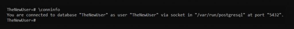 Terminal output confirms the new PostgreSQL user is connected to the new database