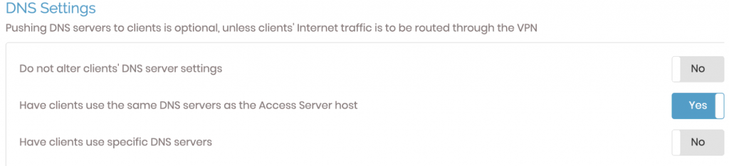 The DNS settings section on the OpenVPN dashboard