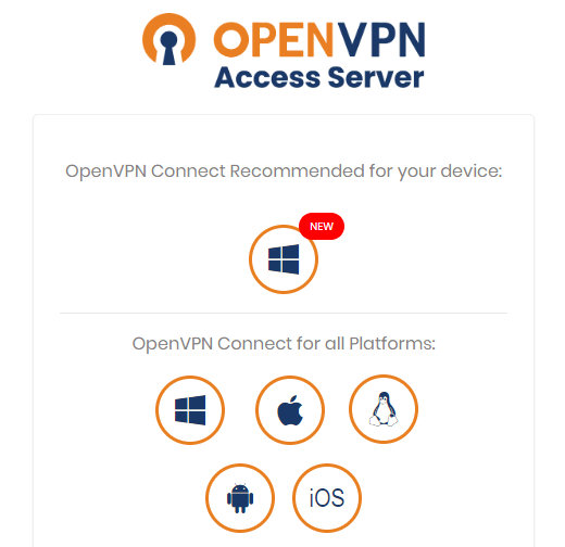 The main OpenVPN client dashboard view for a Windows machine