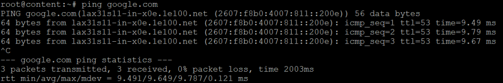 The ping output for google domain