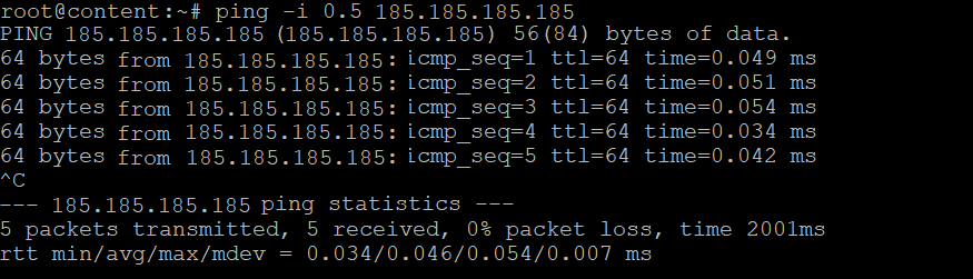 The ping output with the -i option