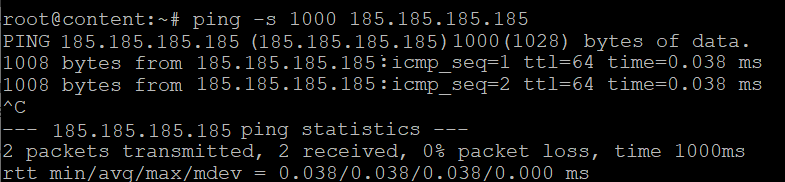  The ping output with the -s option