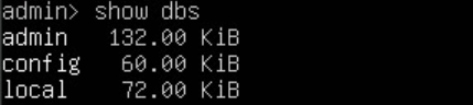 Terminal lists all MongoDB databases