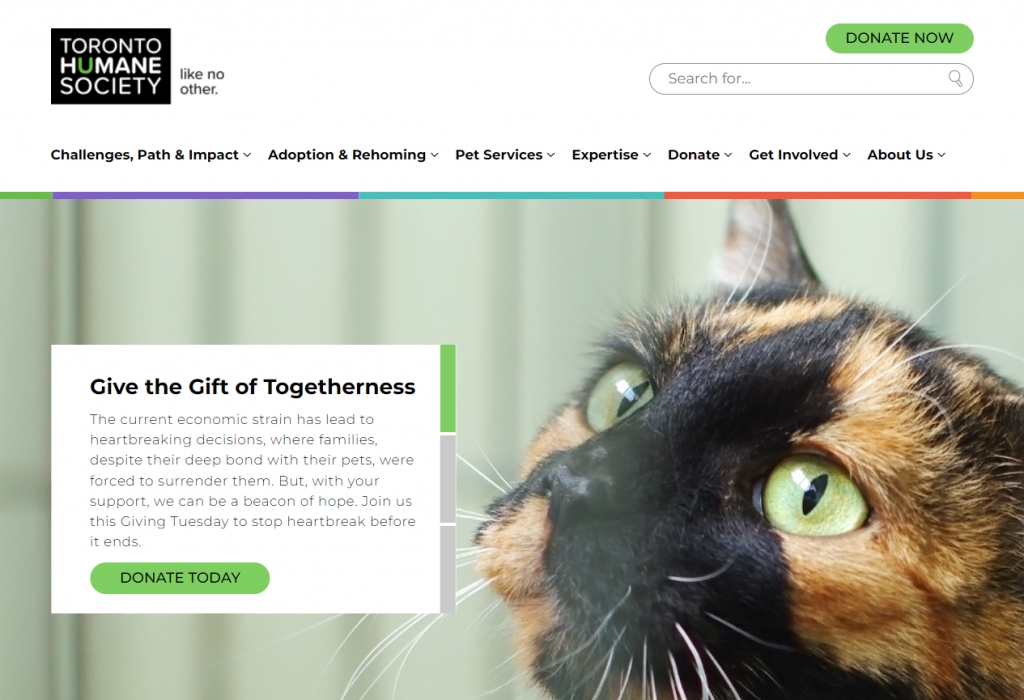 Toronto Humane Society's homepage containing a DONATE NOW button