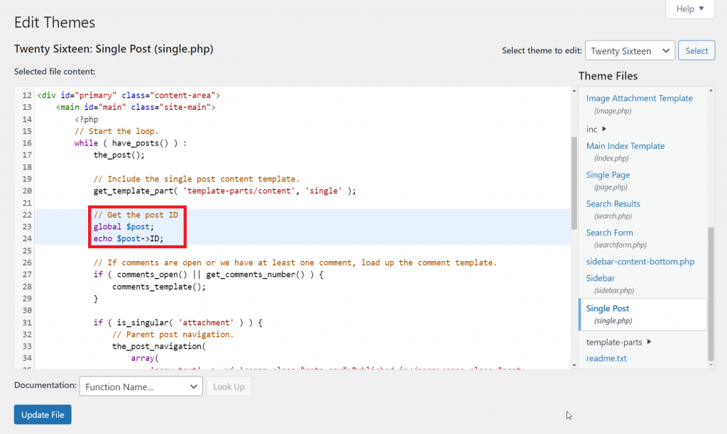 WordPress Theme Editor, highlighting code snippets.