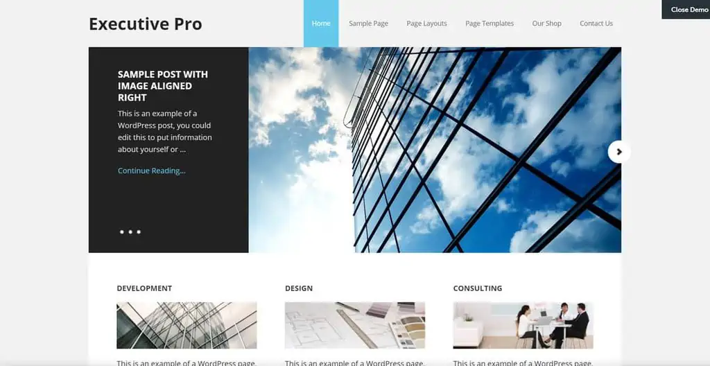 The demo of the Executive Pro theme
