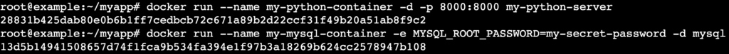 A terminal output after running the docker run commands