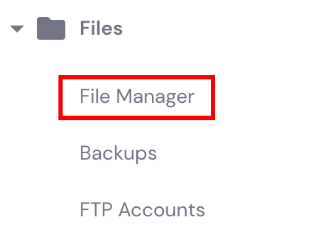 The File Manager button under the Files section