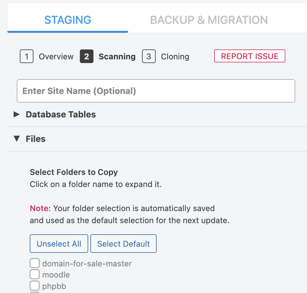 The Files section on the WP Staging plugin page