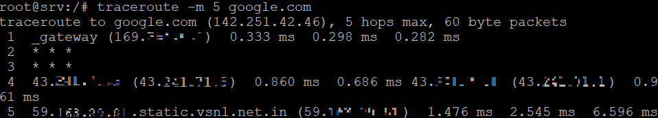 The traceroute command tracks a packet with five hops' route to Google