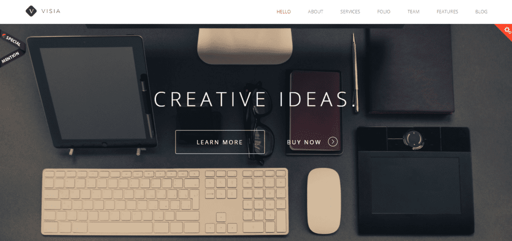 Visia home page WordPress theme 