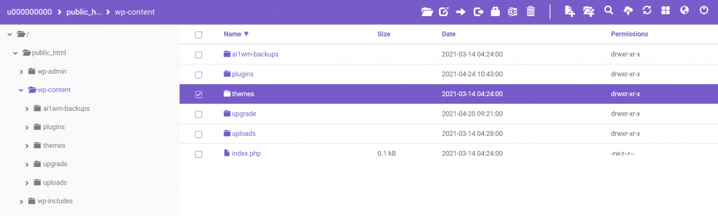 The themes folder in File Manager