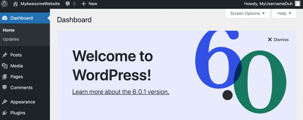 The main wp-admin page for WordPress