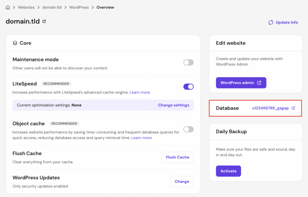 The Database section in the WordPress Overview page of hPanel