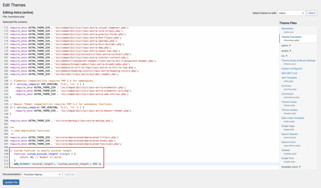 WordPress Theme File Editor with functions.php and custom function highlighted