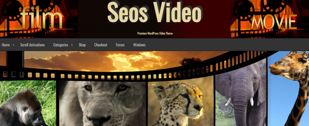 Seos Video WordPress theme